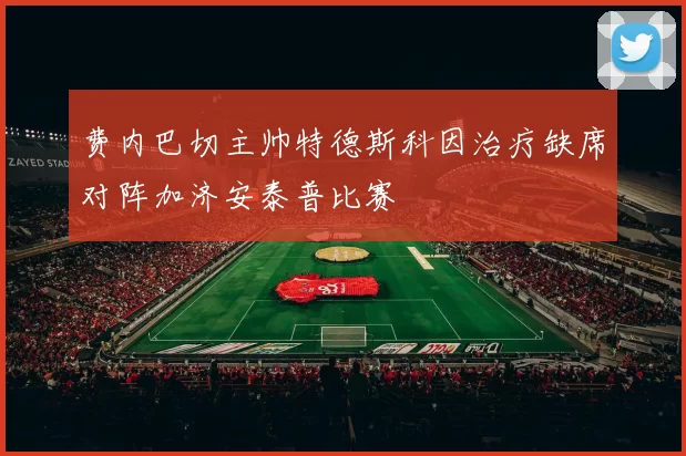 费内巴切主帅特德斯科因治疗缺席对阵加济安泰普比赛